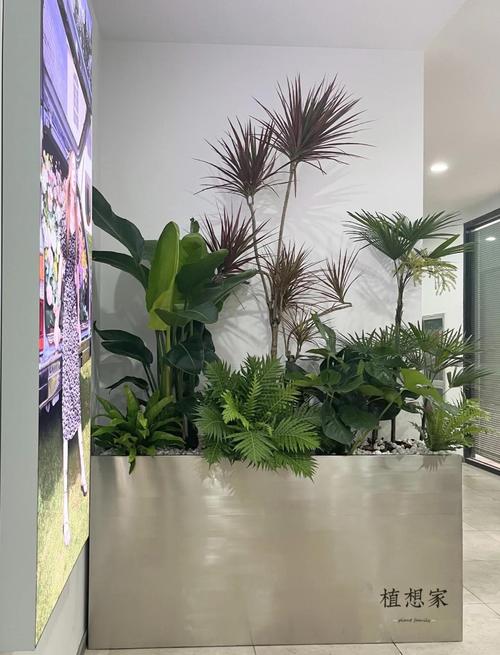 金属花盆绿植搭配室内装饰