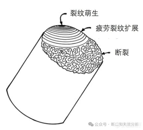 锻造模具开裂疲劳断口宏观观察