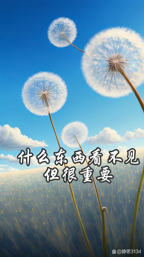 看不见的地方，才是生活的底子