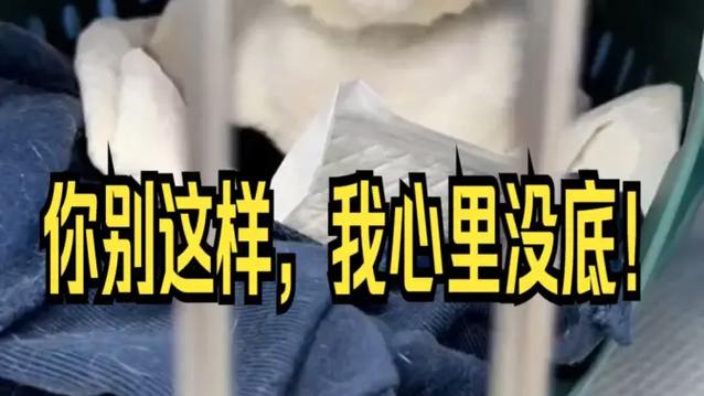 一、怕就怕你心里没底