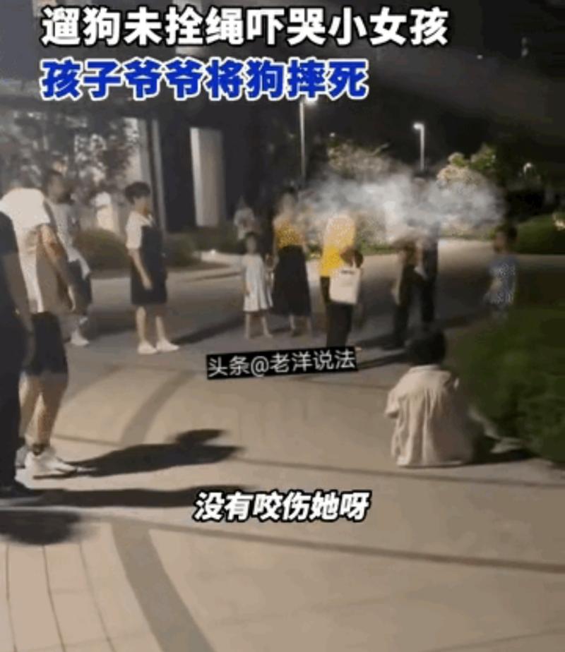 小区人行道遛狗未牵绳致人摔倒场景