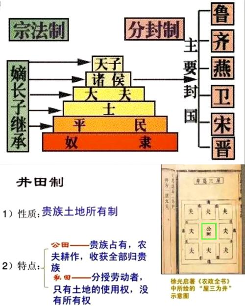西周分封制等级儿童手绘示意图