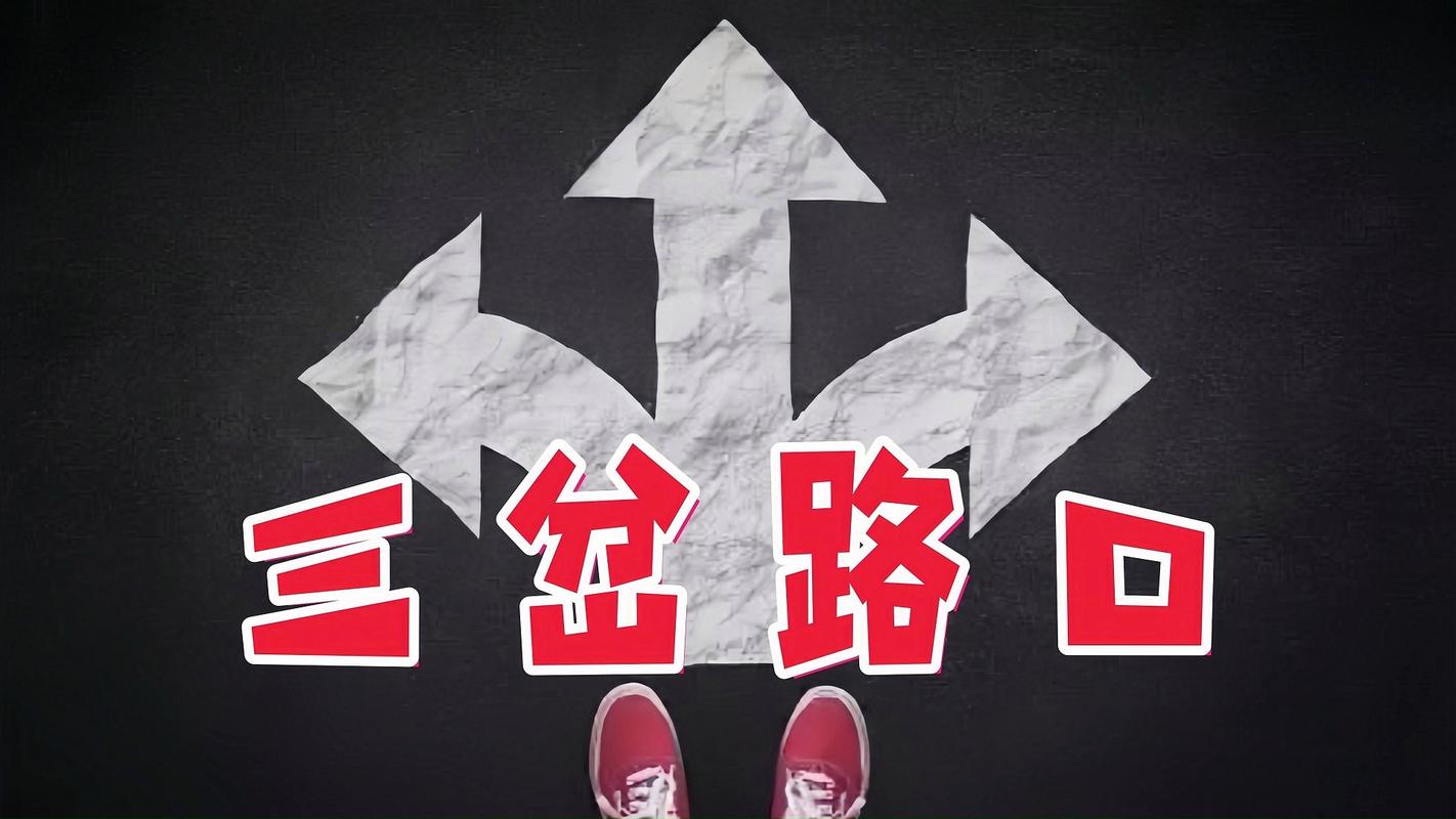 撕开一道口子：有没有第三条路？