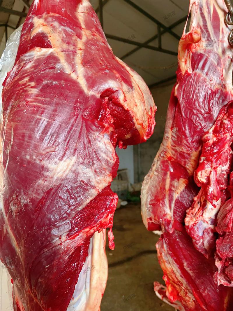 老板展示新鲜牛肉