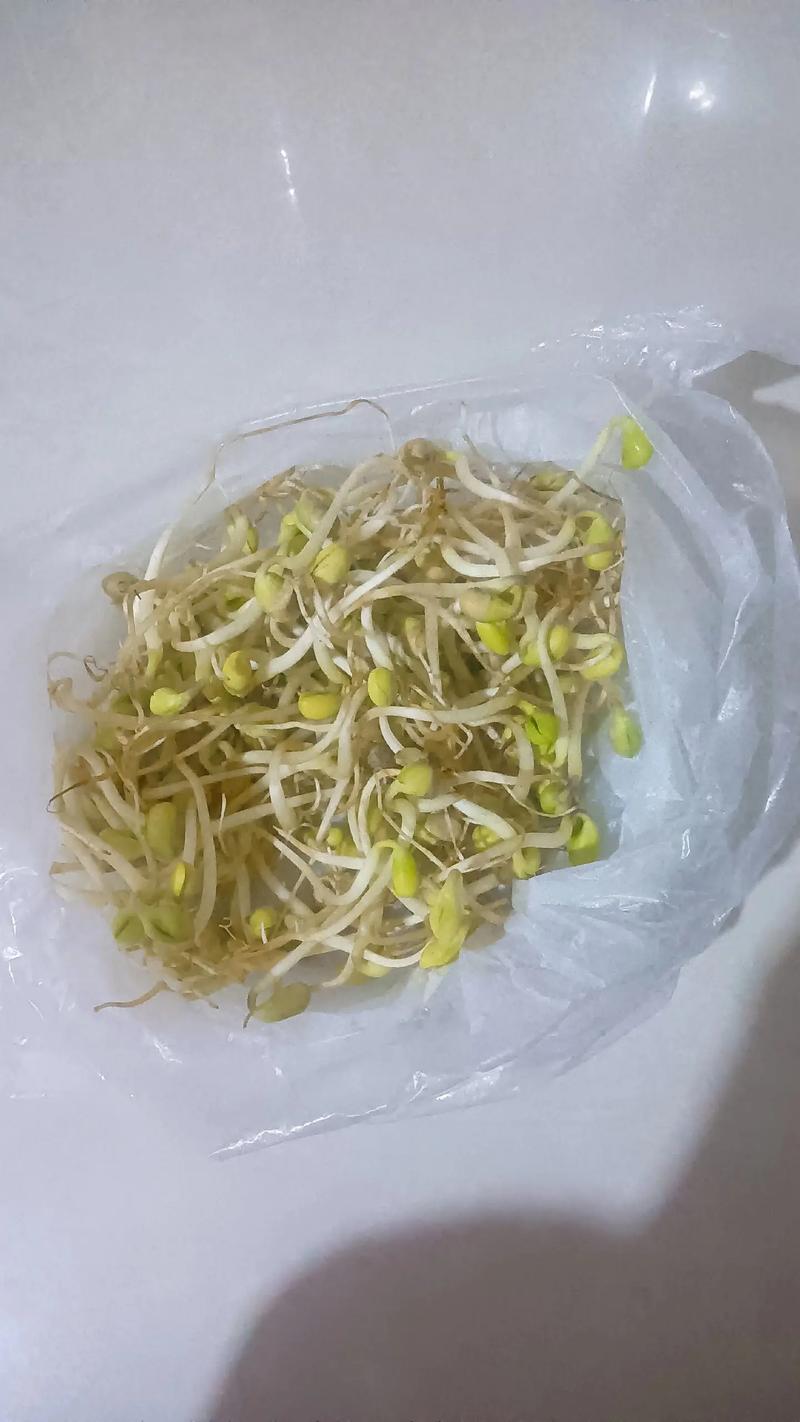 豆芽在冰箱里腐烂发黏状态图