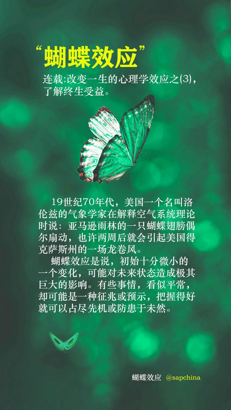 你的人生,就是一场蝴蝶效应实验