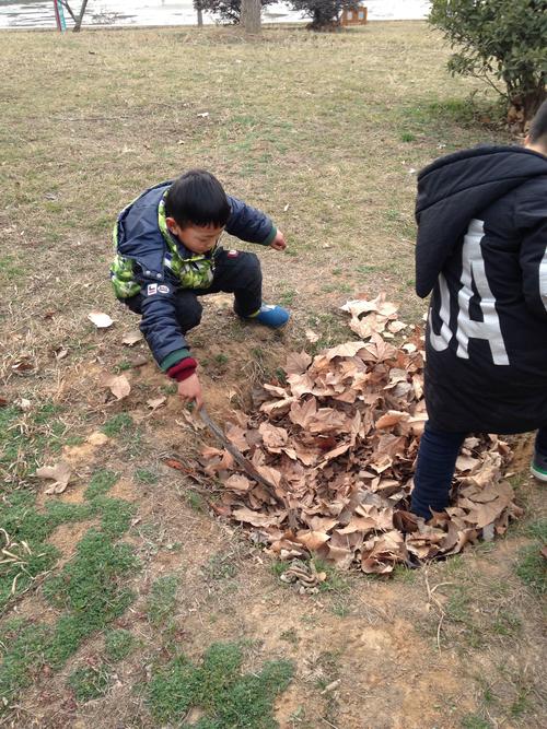 孩子们给死去的蚕埋树下放落叶实拍