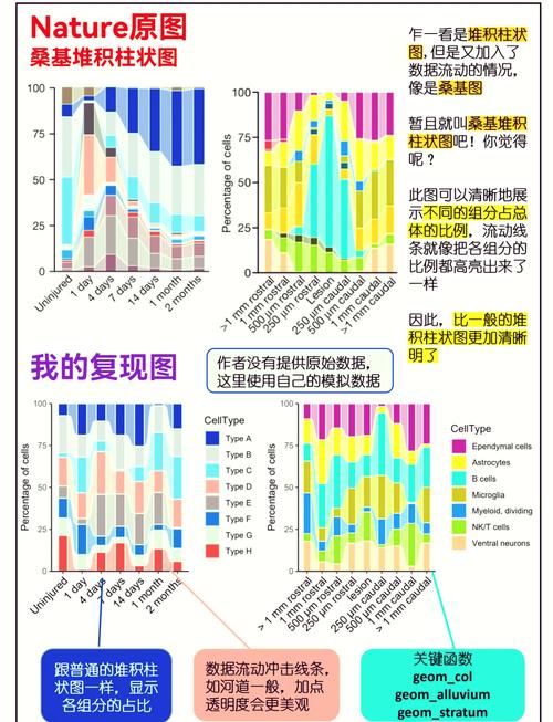 📊 排行榜的暗面与救赎