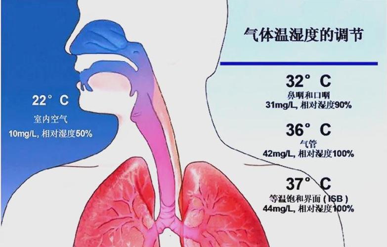 不同湿度下呼吸道黏膜屏障对比示意图