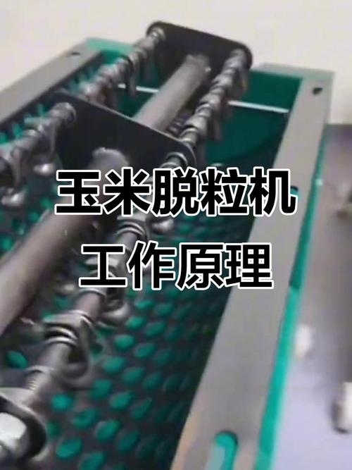 机械设计课旧脱粒机拆解现场实拍