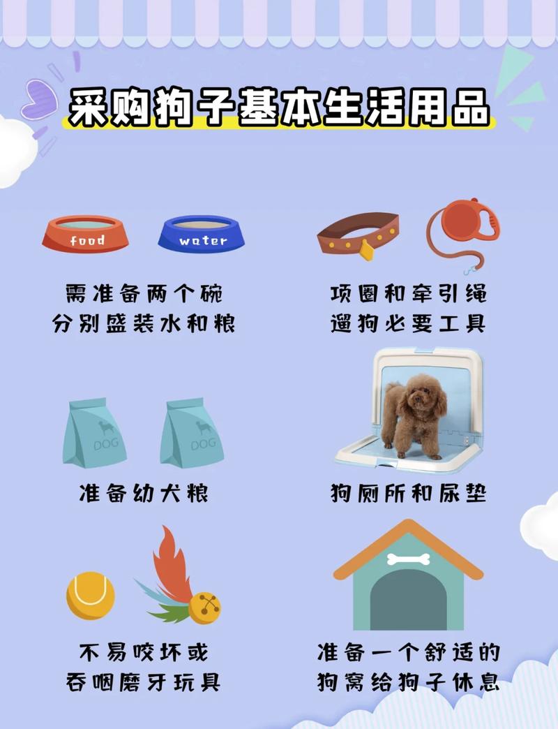 避开概念陷阱，理性选宠物用品