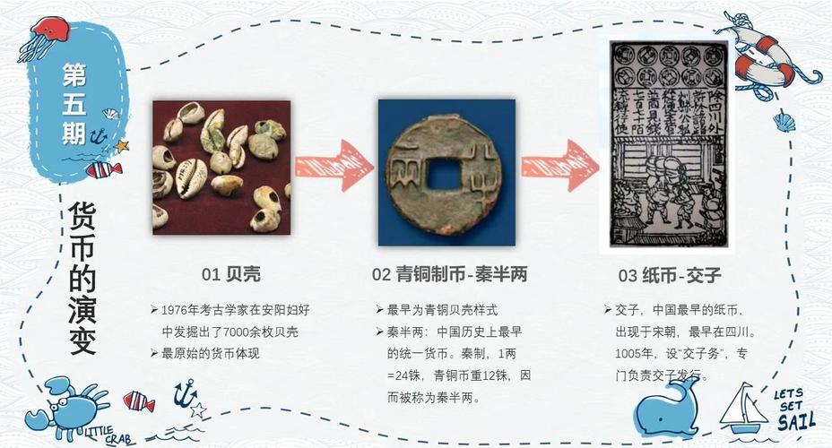 人类对贝壳的误解:从货币到监狱