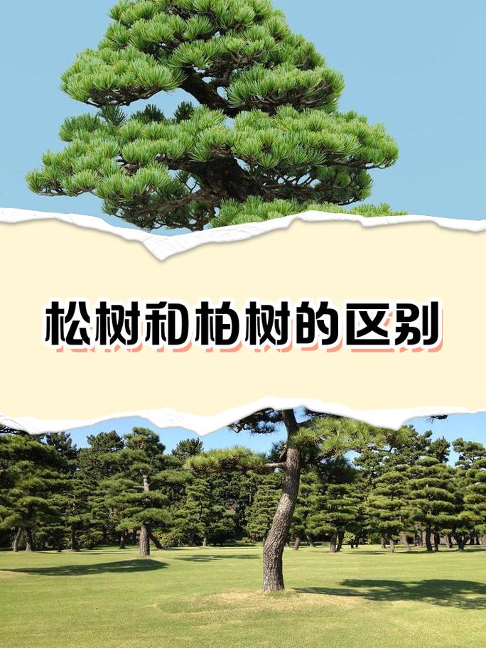 落叶的隐秘生命:它们并不只是死去-因为所以
