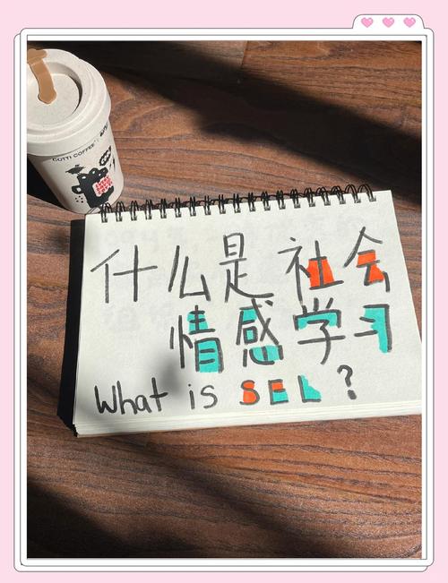 到底什么是社会情感学习？拆开揉碎了看