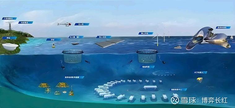 看不见的硝烟：海洋观测网和那片“数字海”
