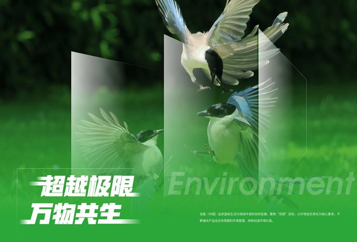 清晰的边界才是可持续的方向