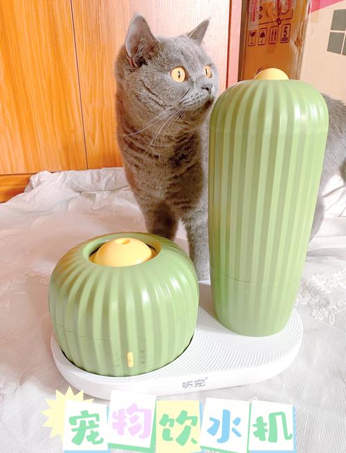 社恐蓝猫躲在沙发旁远离运行中的猫饮水机