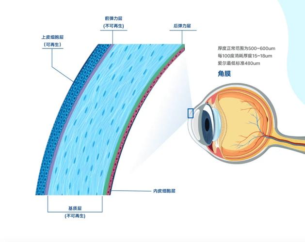 护眼屏幕蓝光过滤膜层结构示意图