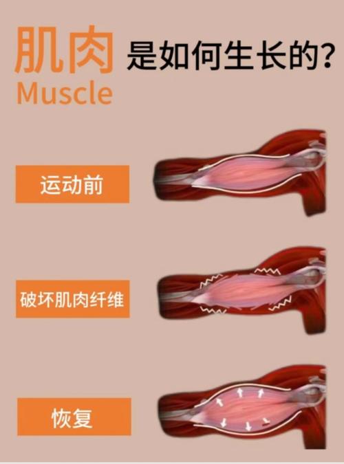 💪 末段:身体开始发生奇妙的变化
