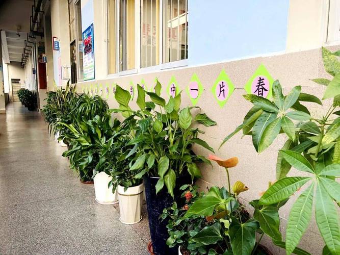 中学走廊办公室门口学生躲绿植场景