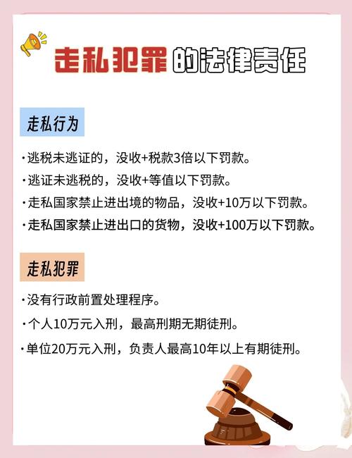 不同类型走私案件的适配参考