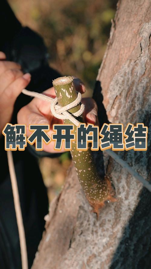 产业化里绕不开的死结