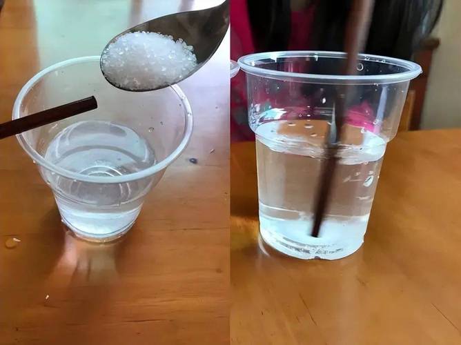 厨房家用玻璃杯食盐白糖溶解度实验实拍