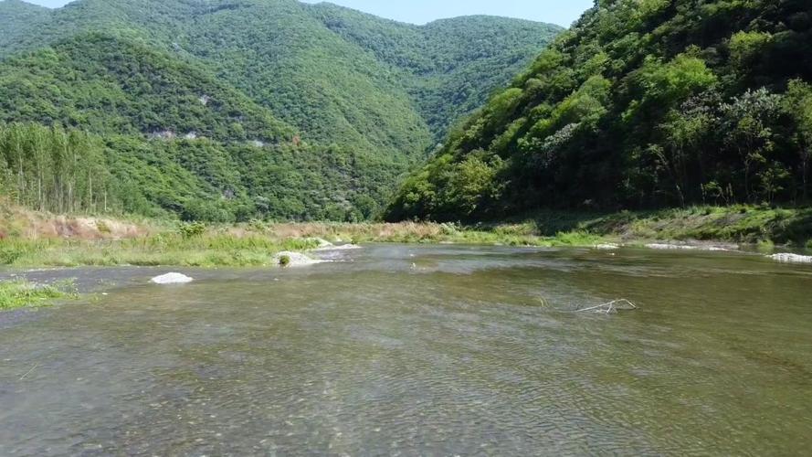 湖北南漳鱼泉河春季涌鱼河滩景观