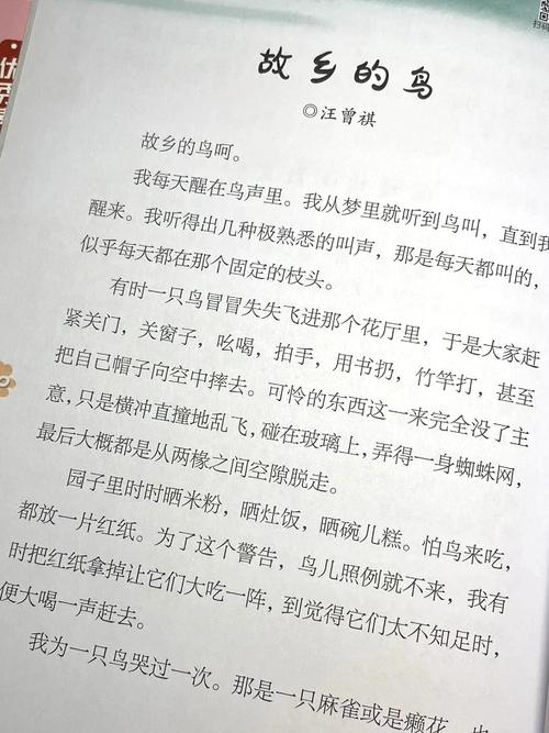4岁那年，我亲手埋了一只鸟