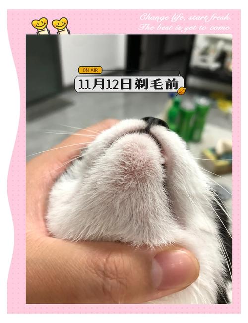 稳住，黑下巴其实很难断根
