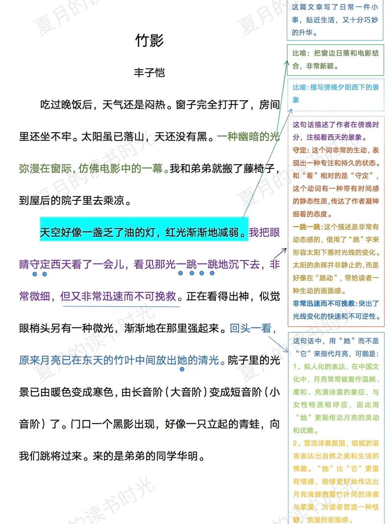 竹影:白墙上的流动水墨-因为所以