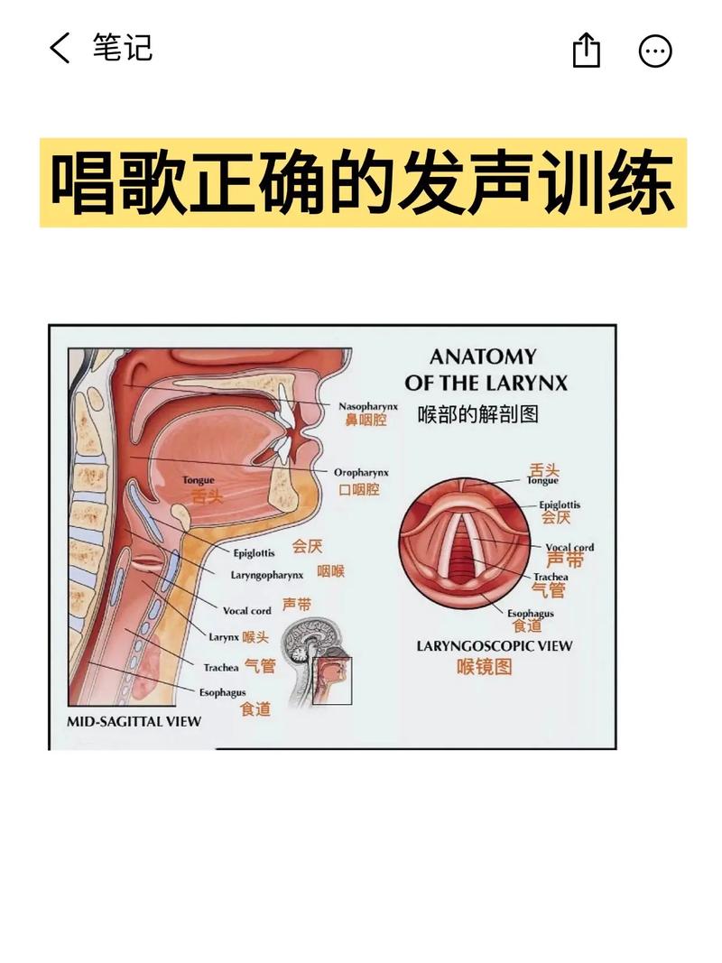 唱歌换声点训练示意图