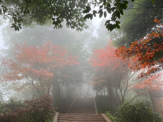 5. 青城山前山：红叶？不存在的，只有台阶