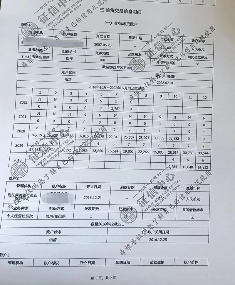 个人征信报告逾期标记示例图