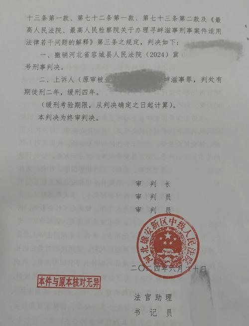 中国裁判文书网寻衅滋事案件检索结果页面
