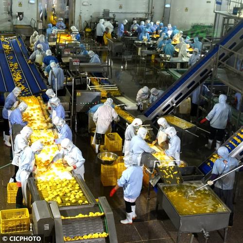 食品加工厂装罐线等待排期现场图