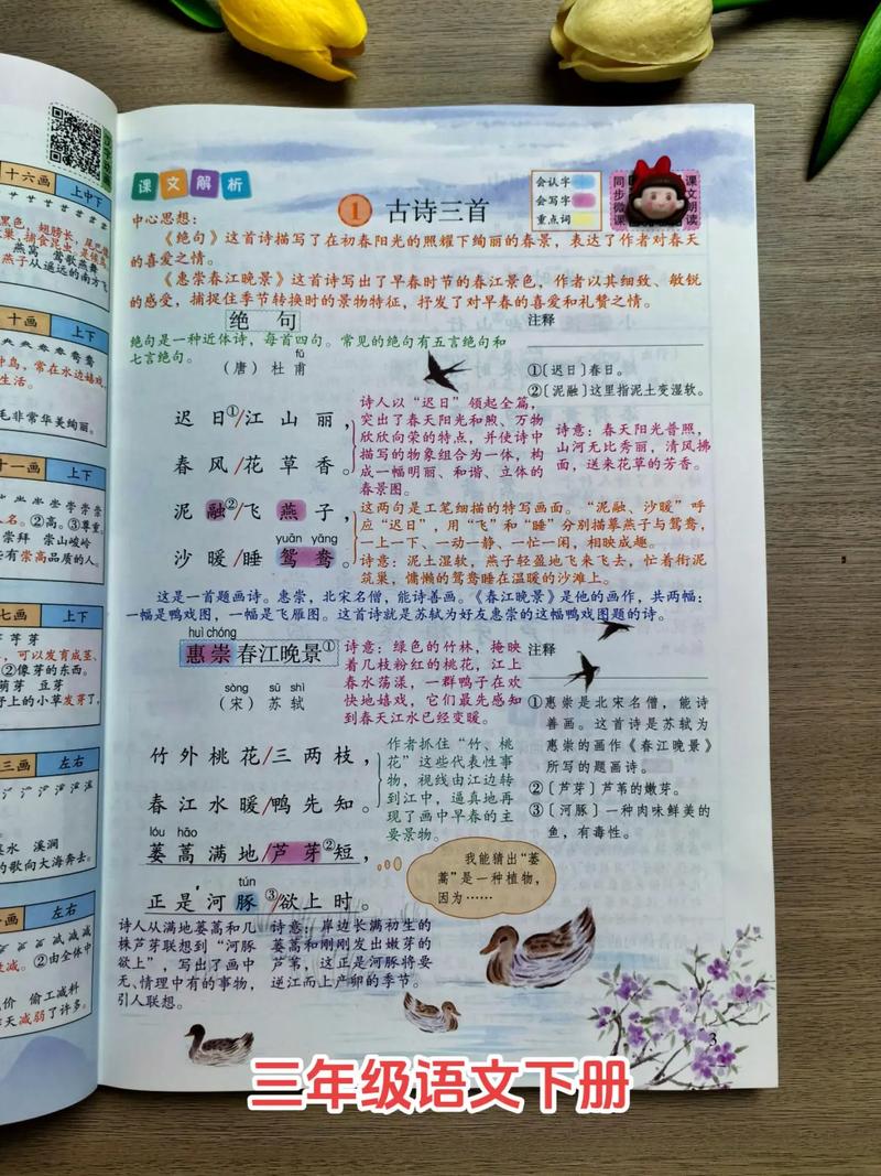 三年级语文课本上的彩色预习标注
