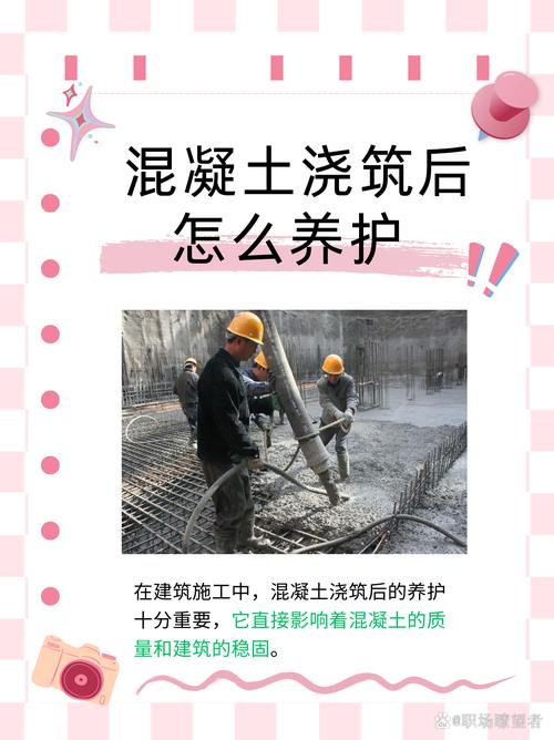 第四步:养护,不是插完就完事
