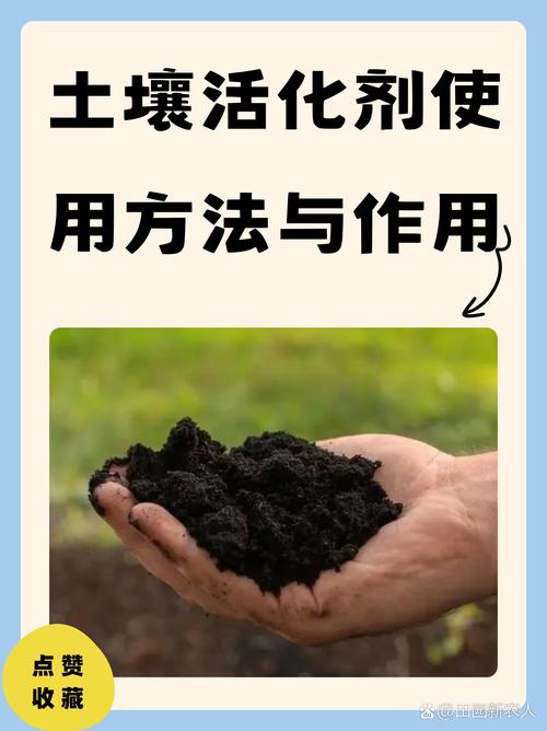 三、让科研成果“活”过来，需要什么样的土壤？