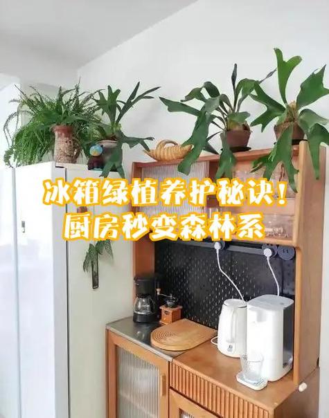 厨房窗户边垂吊绿植挂钩安装示意图