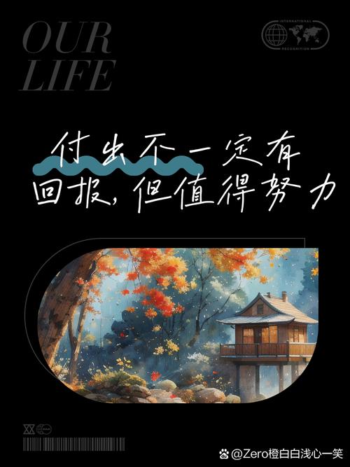 你以为的回报，可能根本不是回报