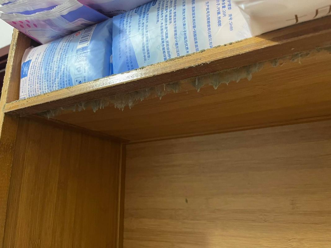 床底收纳箱发霉衣物潮湿水珠近景