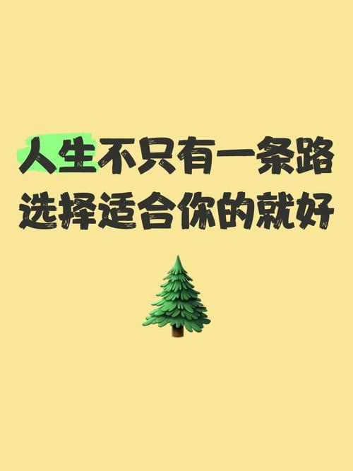 适合你的路，从来不在别人的攻略里