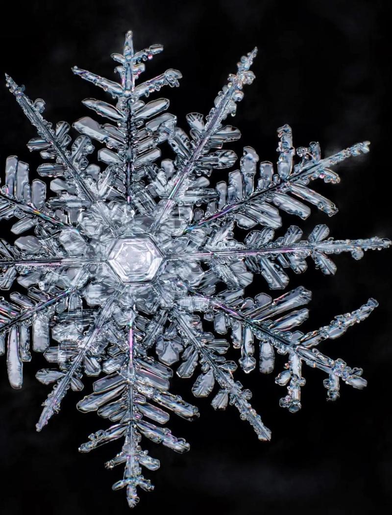 雪花晶体微观摄影20倍放大六角形结构