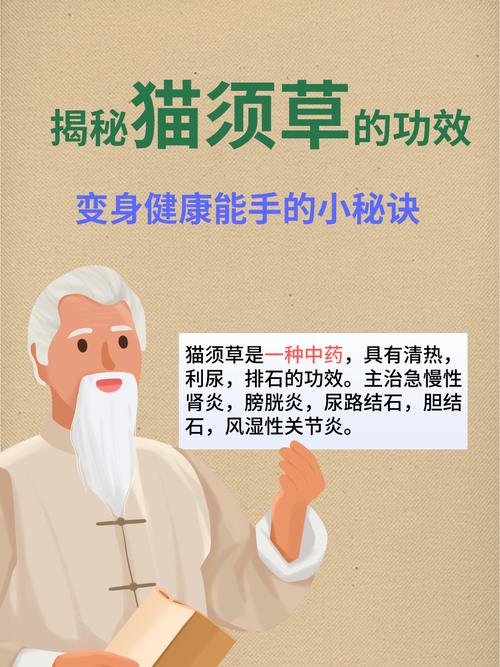 那些传的神乎其神的偏方，真的别往猫下巴上糊