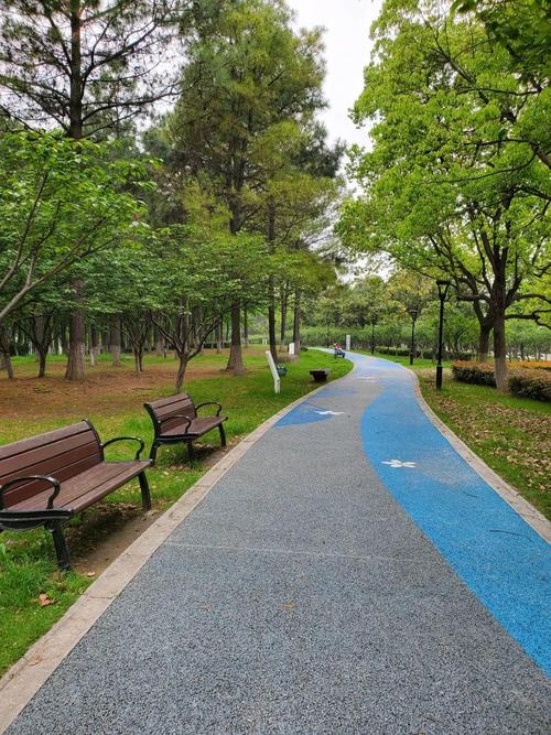 城市森林公园林间成型步道实景