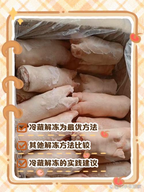 冰箱冷藏层解冻冷冻整肘子场景