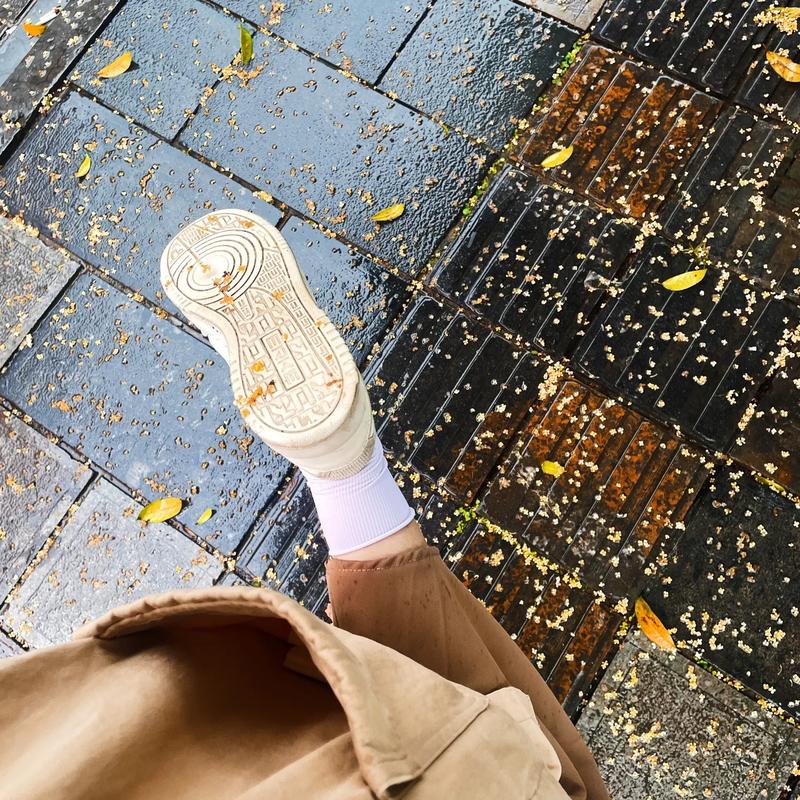 踩过厚落叶的鞋，沾了一身秋