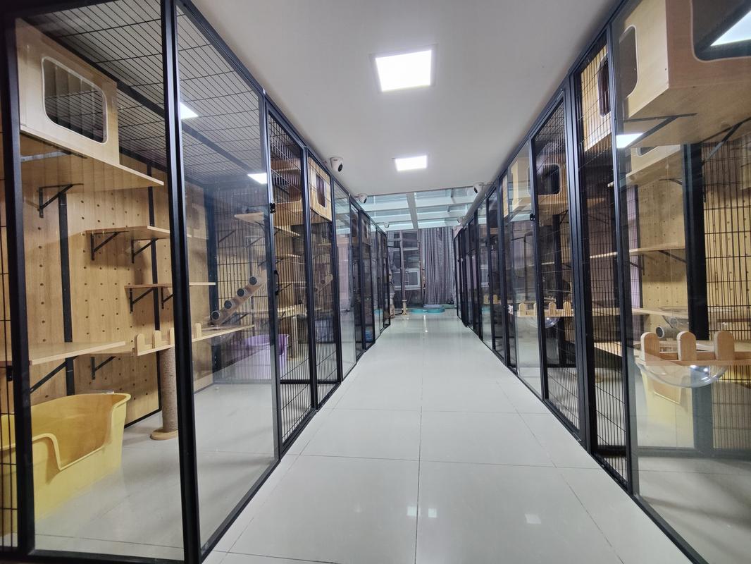 线下宠物店宠物寄养笼区实拍