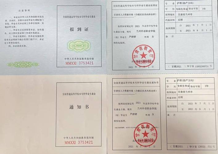 普通高校全日制毕业生报到证样板